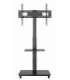 Gembird TVS-75S-02 TV floor stand with caster wheels, 37" - 75", black