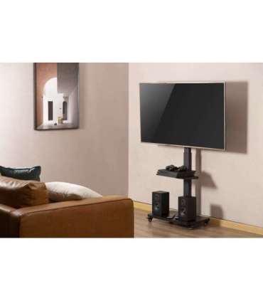 Gembird TVS-75S-02 TV floor stand with caster wheels, 37" - 75", black
