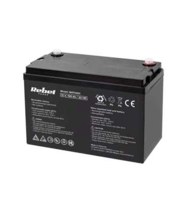 VIPOW akumulator żelowy 12 V 100 Ah