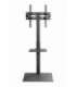 Gembird TVS-55T-02 TV floor stand, 32" - 55", black