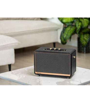 Tracer M45 speaker TWS bluetooth 45W black TRAGLO47248