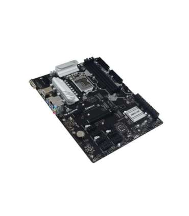 BIOSTAR TZ590-BTC DUO motherboard