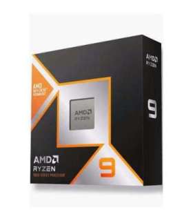 AMD Ryzen 9 9950X3D (100-100000719WOF) (100100000719WOF)