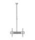 Sunne Ceiling mount PL-C62 Tilt 37-70 " Maximum weight (capacity) 50 kg Silver