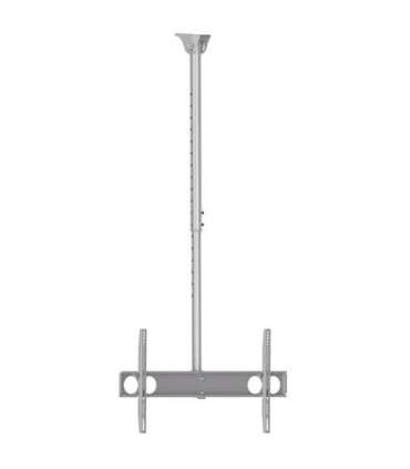 Sunne Ceiling mount PL-C62 Tilt 37-70 " Maximum weight (capacity) 50 kg Silver