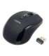 Logilink Maus optisch Funk 2.4 GHz 2.4GH wireless mini mouse with autolink wireless Black