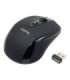 Logilink Maus optisch Funk 2.4 GHz 2.4GH wireless mini mouse with autolink wireless Black