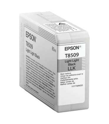 Epson T850900 Ink Cartridge Light Black