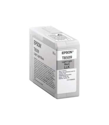 Epson T850900 Ink Cartridge Light Black
