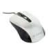 Gembird Mouse MUS-4B-01-BS Standard USB Black/ silver