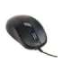 Gembird MUS-6B-01 Optical mouse Black