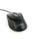 Gembird MUS-6B-01 Optical mouse Black