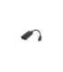 Cablexpert USB-C to DisplayPort adapter, Black Cablexpert