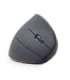Gembird MUSW-ERGO-01 2.4GHz Wireless Optical Mouse Optical Mouse USB Black