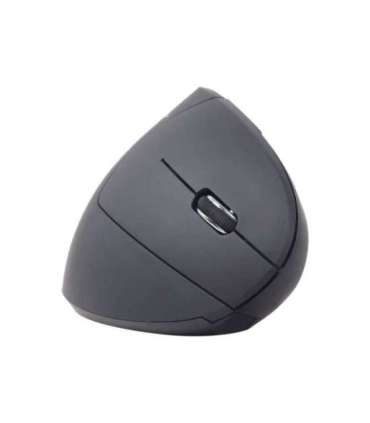 Gembird MUSW-ERGO-01 2.4GHz Wireless Optical Mouse Optical Mouse USB Black