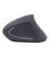 Gembird MUSW-ERGO-01 2.4GHz Wireless Optical Mouse Optical Mouse USB Black