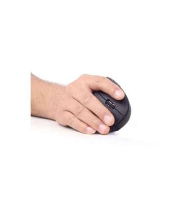 Gembird MUSW-ERGO-01 2.4GHz Wireless Optical Mouse Optical Mouse USB Black