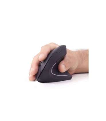 Gembird MUSW-ERGO-01 2.4GHz Wireless Optical Mouse Optical Mouse USB Black