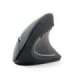 Gembird MUSW-ERGO-01 2.4GHz Wireless Optical Mouse Optical Mouse USB Black