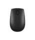 Lenovo Wireless Compact Mouse 300 Optical Mouse 2.4 GHz Wireless via Nano USB Black 1 year(s)