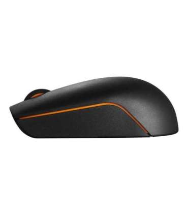 Lenovo Wireless Compact Mouse 300 Optical Mouse 2.4 GHz Wireless via Nano USB Black 1 year(s)
