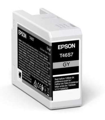 Epson UltraChrome Pro 10 ink T46S7 Ink cartrige Grey