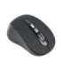 Gembird 6-button wireless optical mouse MUSW-6B-01 Optical mouse USB Black