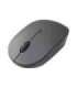 Lenovo Go USB-C Wireless Mouse Storm Grey