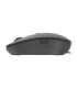 Lenovo Go USB-C Wireless Mouse Storm Grey