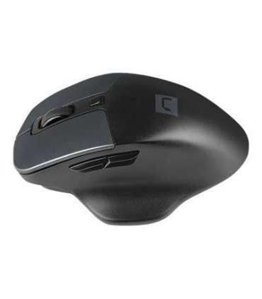 Natec Mouse, BlackBird 2, Silent, Wireless, 1600 DPI, Optical, Black Natec Mouse Optical Wireless Black/Gray |
