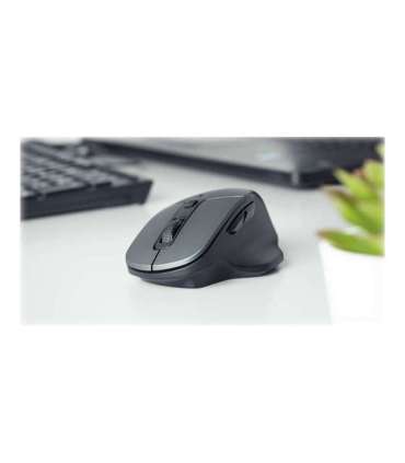 Natec Mouse, BlackBird 2, Silent, Wireless, 1600 DPI, Optical, Black Natec Mouse Optical Wireless Black/Gray |