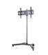 EDBAK WWTR-TR51c-B Trolleys & Stands 37-60 " Maximum weight (capacity) 80 kg Black