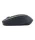 Gembird Wireless Optical mouse MUSW-4B-05 Optical mouse USB Black