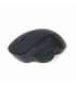 Gembird Wireless Optical mouse MUSW-6B-02 Optical mouse USB Black