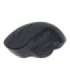 Gembird Wireless Optical mouse MUSW-6B-02 Optical mouse USB Black