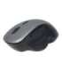 Gembird Wireless Optical mouse MUSW-6B-02-BG Optical mouse USB Black-Spacegrey