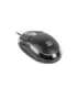 Natec Mouse, Vireo 2, Wired, 1000 DPI, Optical, Black Natec Mouse Optical Wireless Green Robin