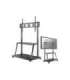 Neomounts By Newstar TV SET ACC FLOOR STAND 60-105"/NS-M4000BLACK NEOMOUNTS Neomounts