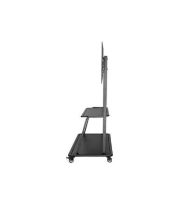 Neomounts By Newstar TV SET ACC FLOOR STAND 60-105"/NS-M4000BLACK NEOMOUNTS Neomounts