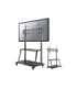 Neomounts By Newstar TV SET ACC FLOOR STAND 60-105"/NS-M4000BLACK NEOMOUNTS Neomounts