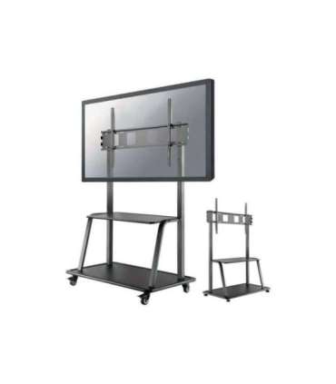 Neomounts By Newstar TV SET ACC FLOOR STAND 60-105"/NS-M4000BLACK NEOMOUNTS Neomounts