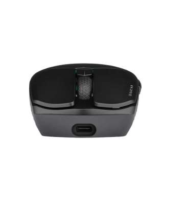 Corsair Gaming Mouse KATAR ELITE wired/wireless Black