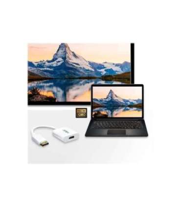 Aten VC985 DisplayPort to HDMI Adapter