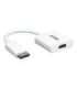 Aten VC985 DisplayPort to HDMI Adapter