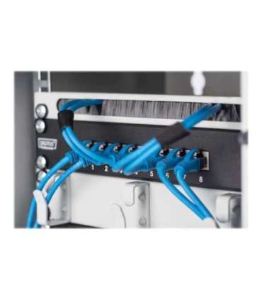 Digitus Wall-mounted housing 254 mm (10") DN-10-09U Grey 31.2 x 30 cm