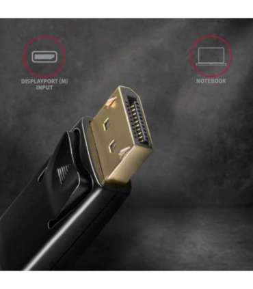 AXAGON Active cable DisplayPort to HDMI 1.8 m