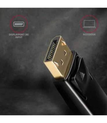 AXAGON Active adapter DisplayPort to HDMI 0.15 m