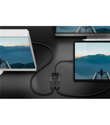 Goobay USB-C Adapter to 2x DisplayPort 60171