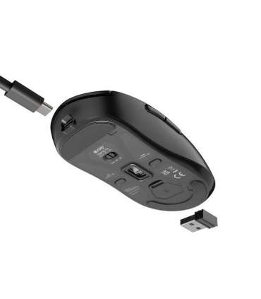 Fury Gaming Mouse Tanto T4 Wired/Wireless 2.4 GHz, Bluetooth, USB Black