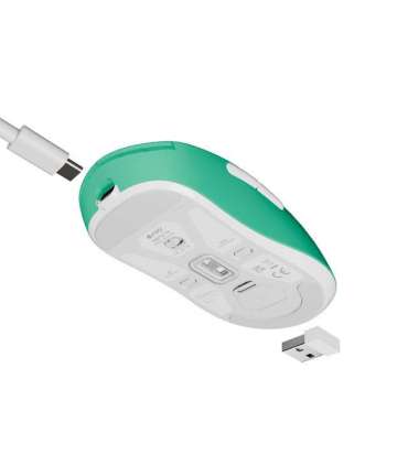 Fury Gaming Mouse Tanto T4 Wired/Wireless 2.4 GHz, Bluetooth, USB Mint